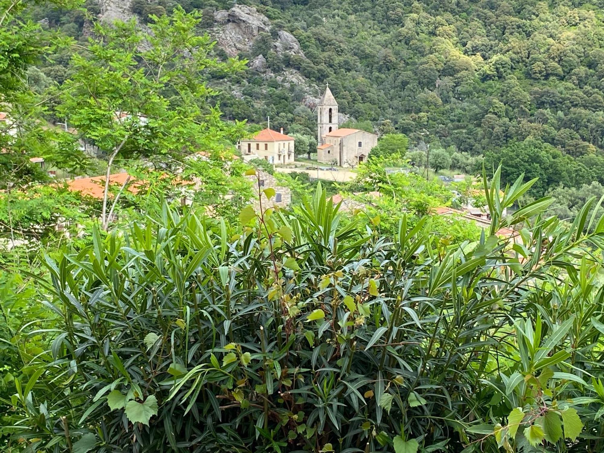 Casa Versini Balogna ภายนอก รูปภาพ